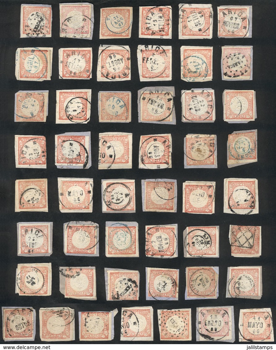 PERU: Sc.12, 49 Used Examples (almost All On Fragments), Most Of Very Fine Quality, And Many With Datestamps Of TACNA An - Pérou