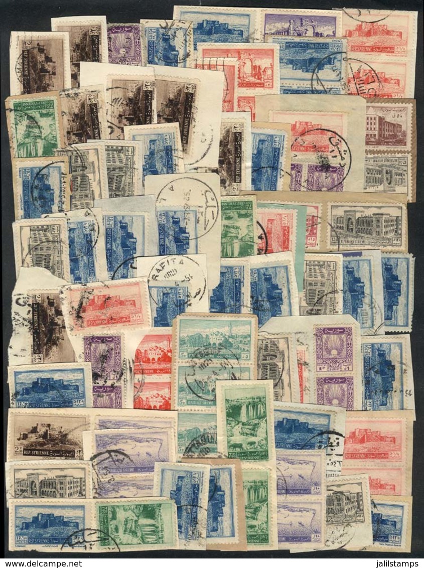 SYRIA: Lot Of Large Number Of Used Stamps On Fragments, Perfect Lot To Look For Rare Postmarks, VF Quality! - Syria