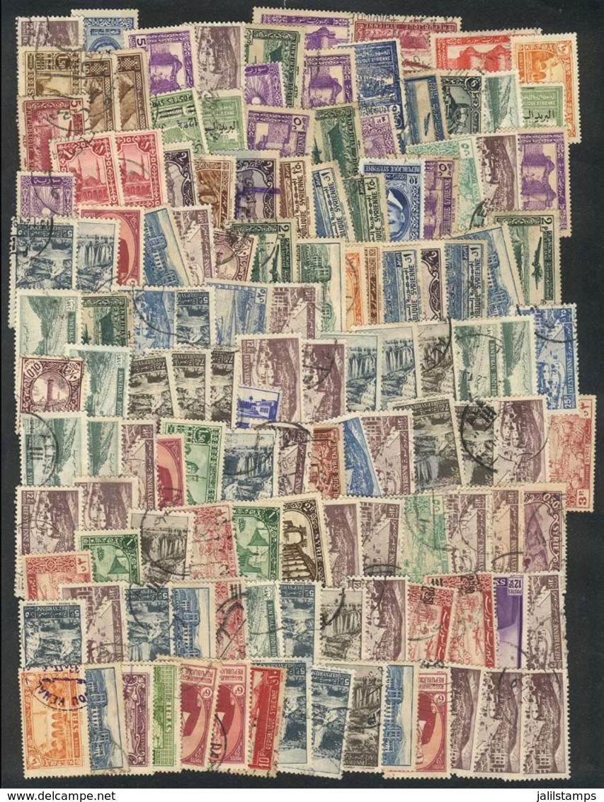 SYRIA: Lot Of Large Number Of Used Stamps On Fragments, Perfect Lot To Look For Rare Postmarks, VF Quality! - Syrie
