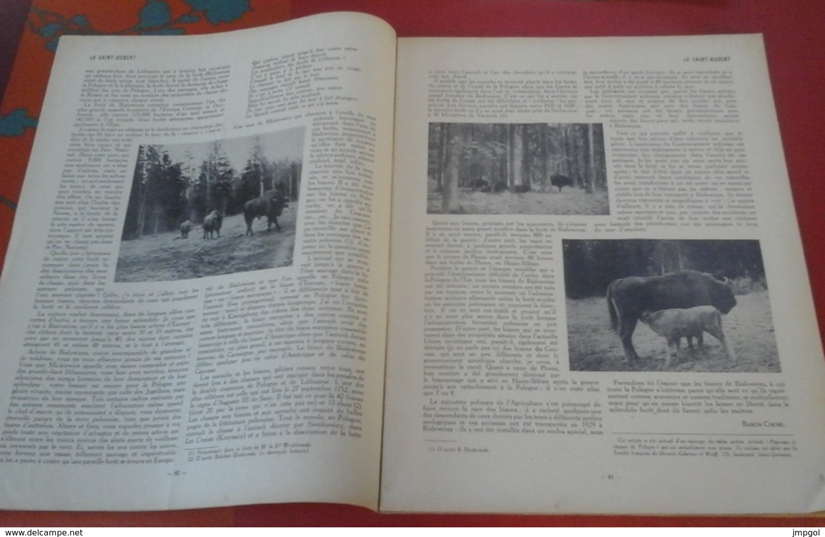 Le Saint Hubert N° 4 Avril 1934 Bison Pologne,Tirés De Jadis Marly, Epagneuls, Retrievers En Battue - Chasse/Pêche