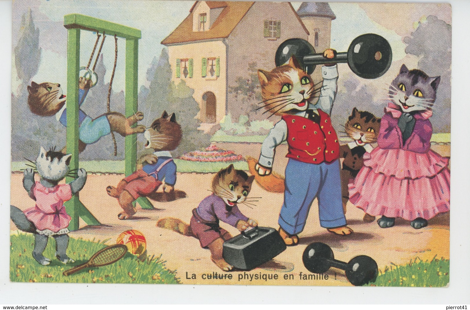 CHATS - CAT - Jolie Carte Fantaisie Chats Humanisés Avec Poids Et Altères "La Culture Physique En Famille " - Gatti