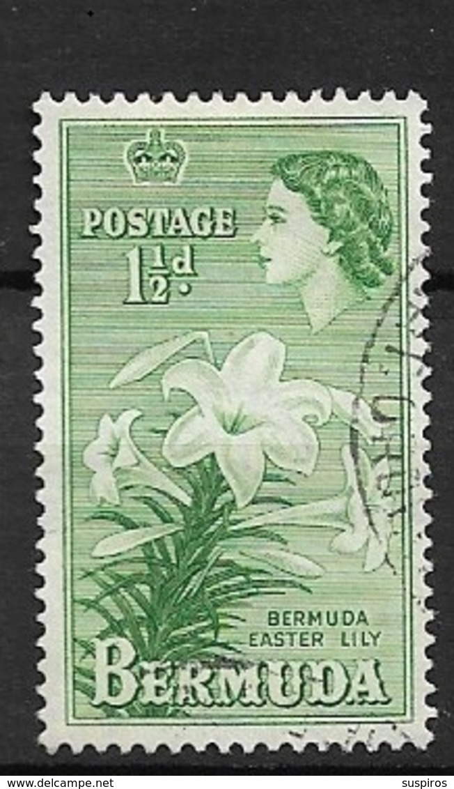 BERMUDA   1953 Local Motives And Queen Elizabeth II  *Lilium Longiflorum - Bermudas