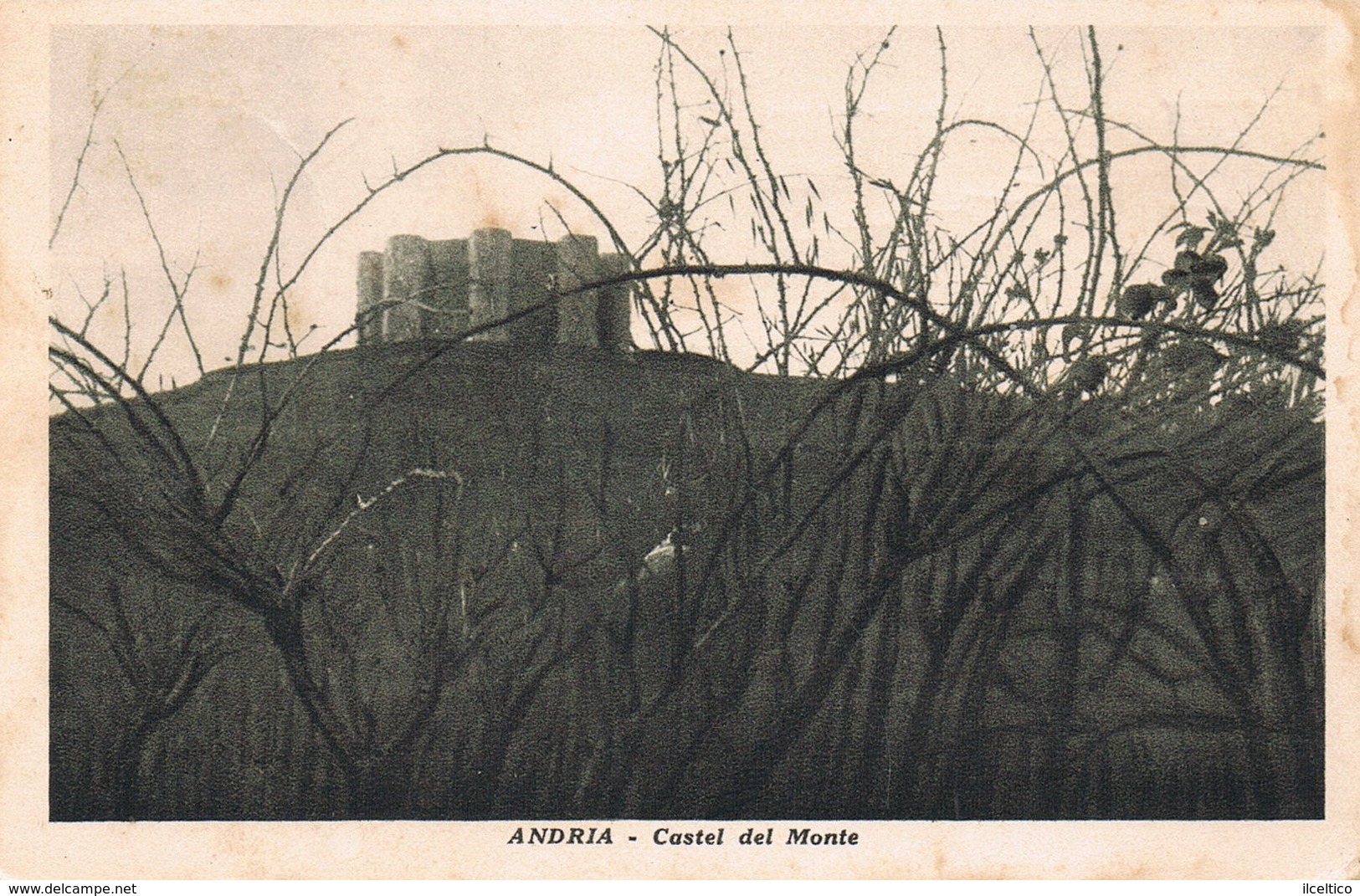 ANDRIA  - CASTEL DEL MONTE - TAVERNA GIOVANNI SFORZA -  1932 - Andria