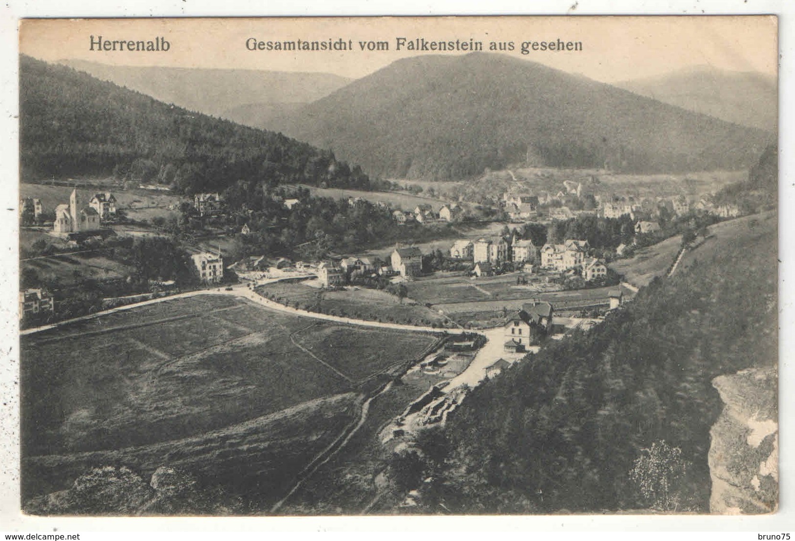 HERRENALB - Gesamtansicht Vom Falkenstein Aus Gesehen - 1907 - Bad Herrenalb