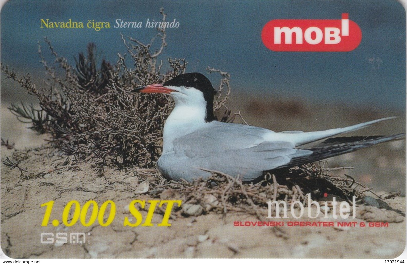 SLOVENIA SCHEDA TELEFONICA Navadna čigra / Common Tern (Sterna Hirundo) - Altri & Non Classificati