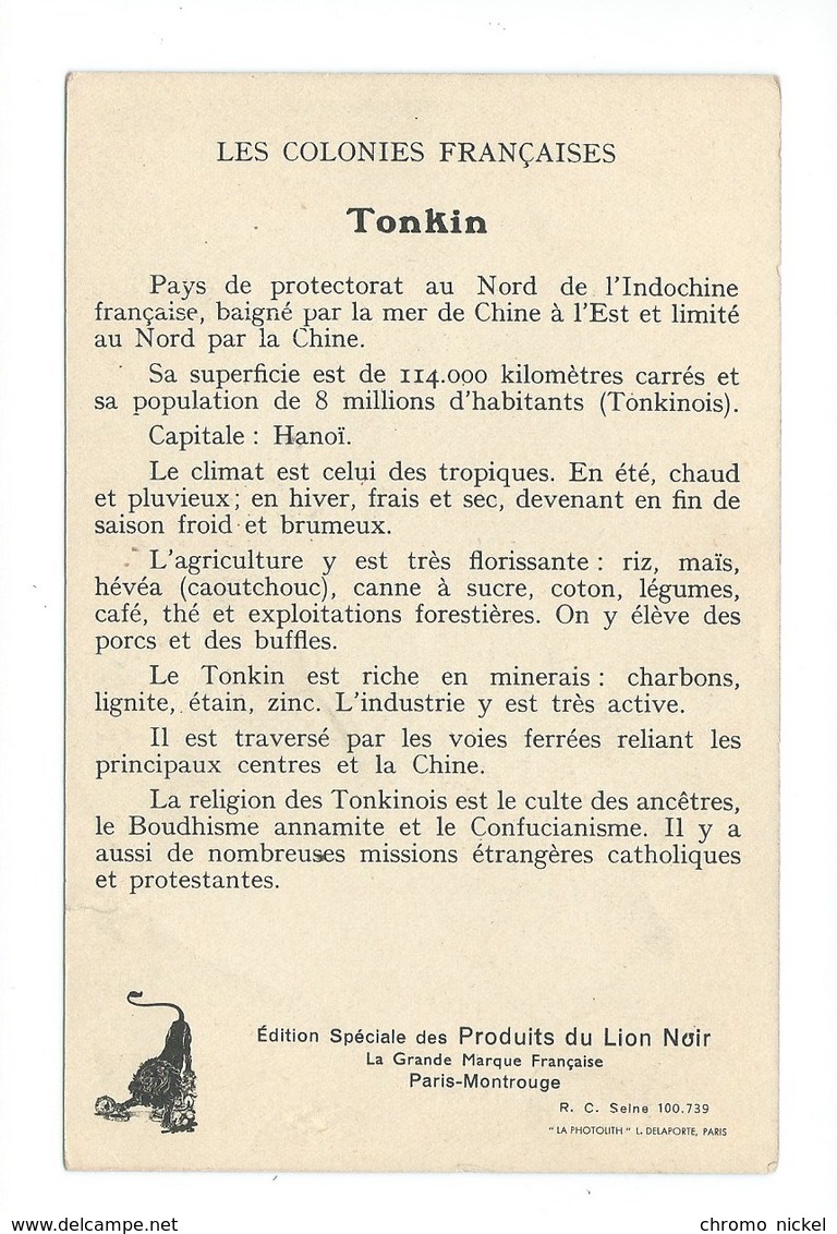 Indochine TONKIN Riz Carte Chromo 14 X 9 Cm Bien Pub: LION NOIR  Colonies Françaises - Autres & Non Classés