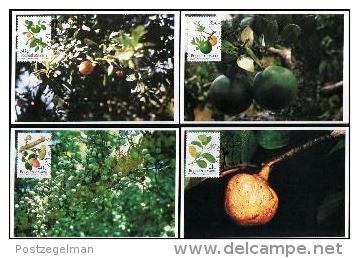 BOPHUTHATSWANA, 1991, Wild Fruit,  Mint Maxicards, Nr(s.) 90-93 - Bophuthatswana