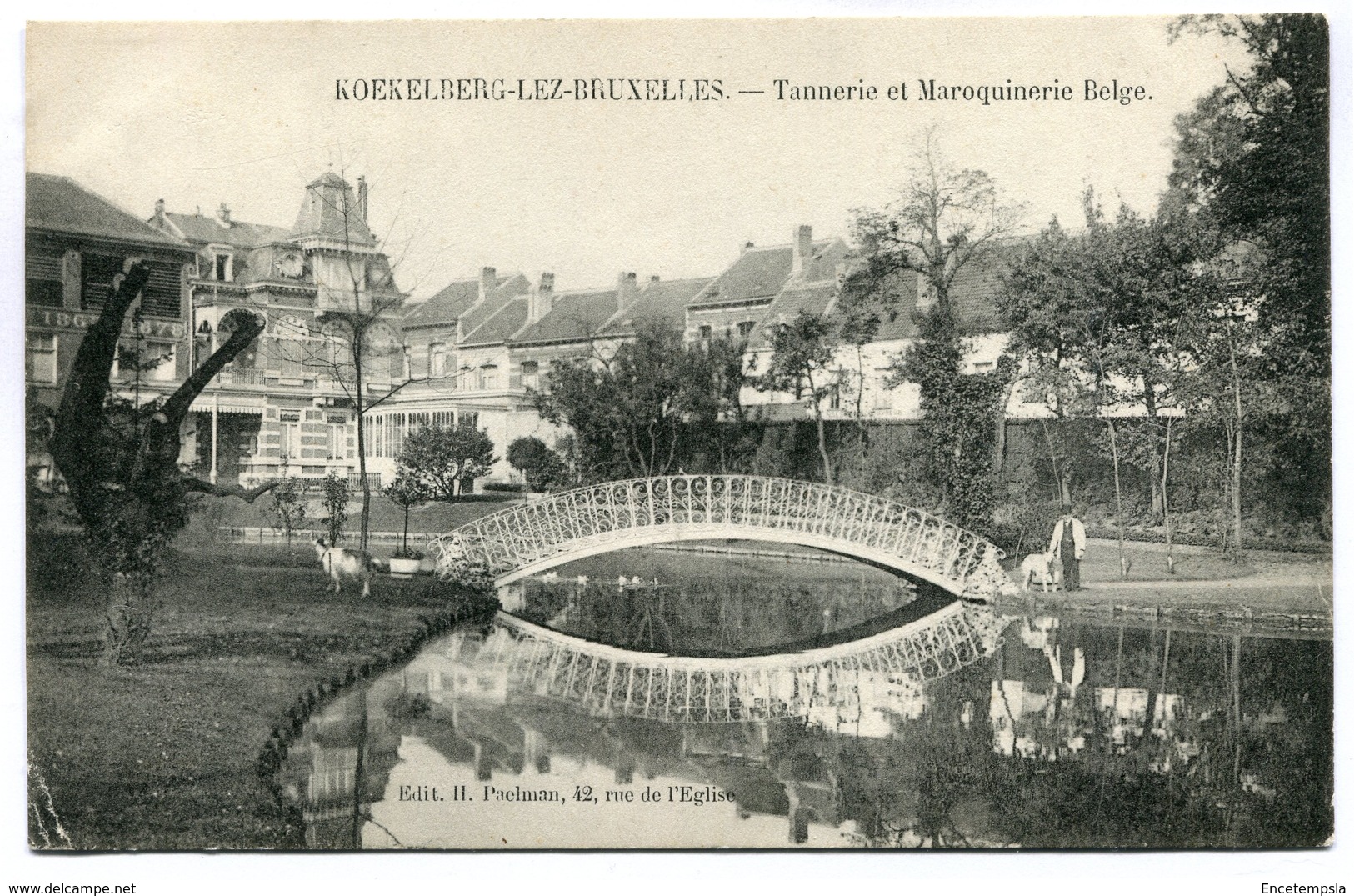 CPA - Carte Postale - Belgique - Koekelberg - Tannerie Et Maroquinerie Belge ( SV5761) - Koekelberg