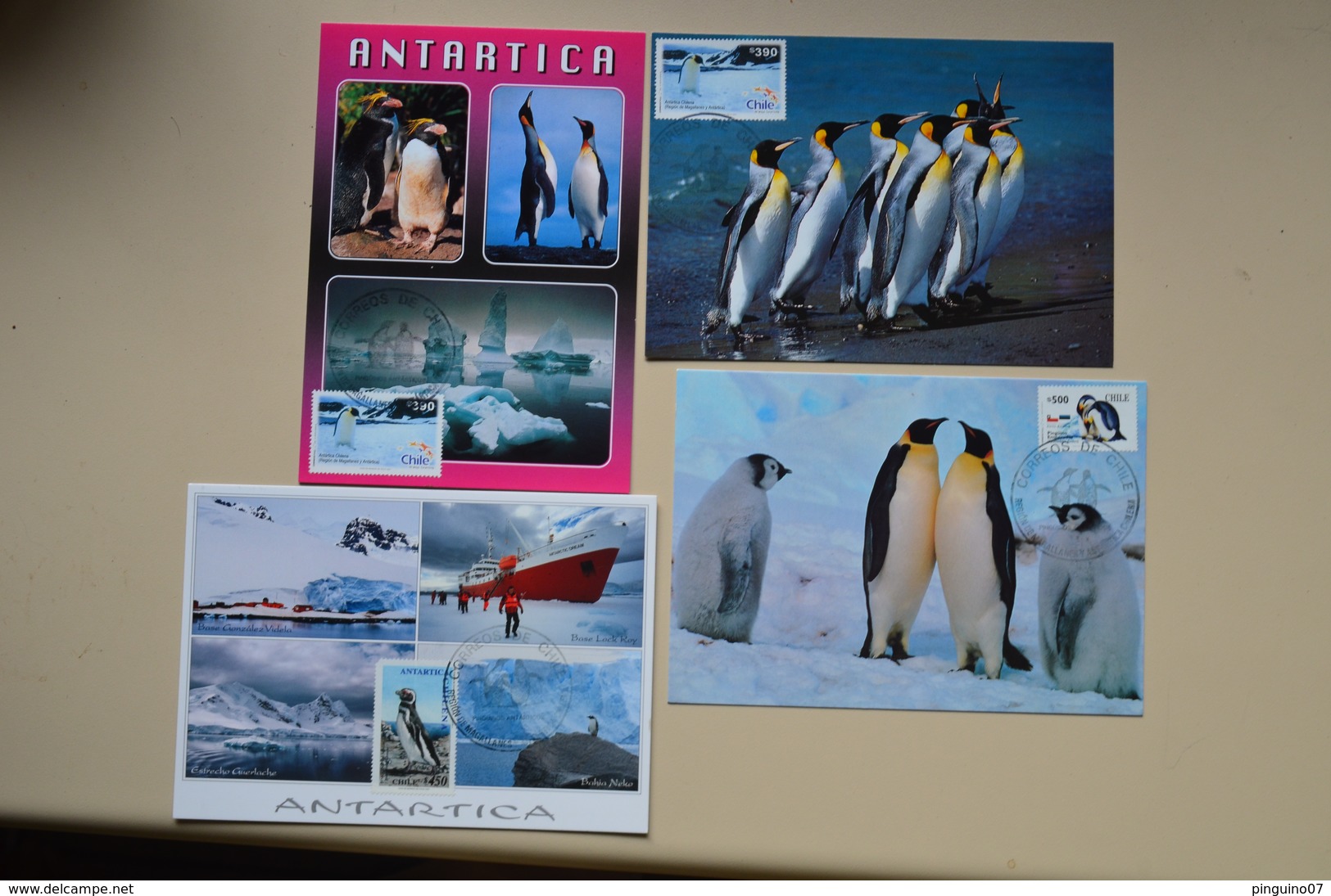 Chili Lot 7 Cartes Maximum Pingouin Pinguino Antarctica Antarctique Penguin Maxicard Chile - Turtles