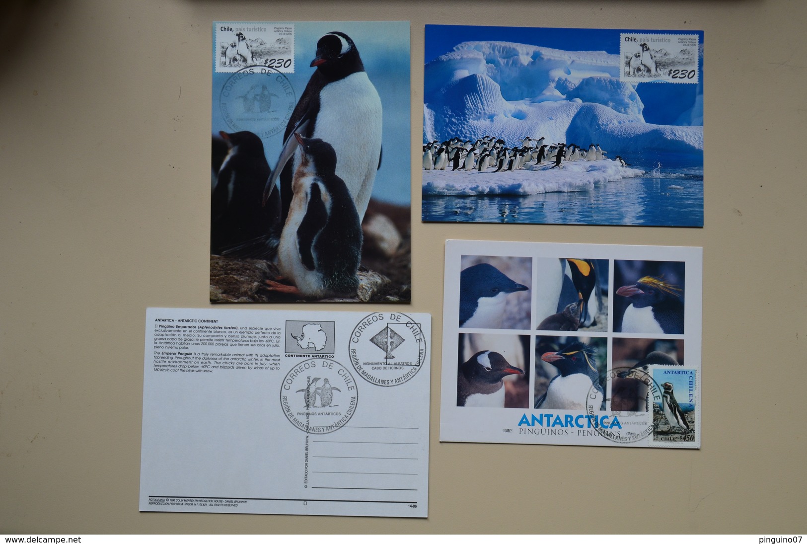 Chili Lot 7 Cartes Maximum Pingouin Pinguino Antarctica Antarctique Penguin Maxicard Chile - Turtles