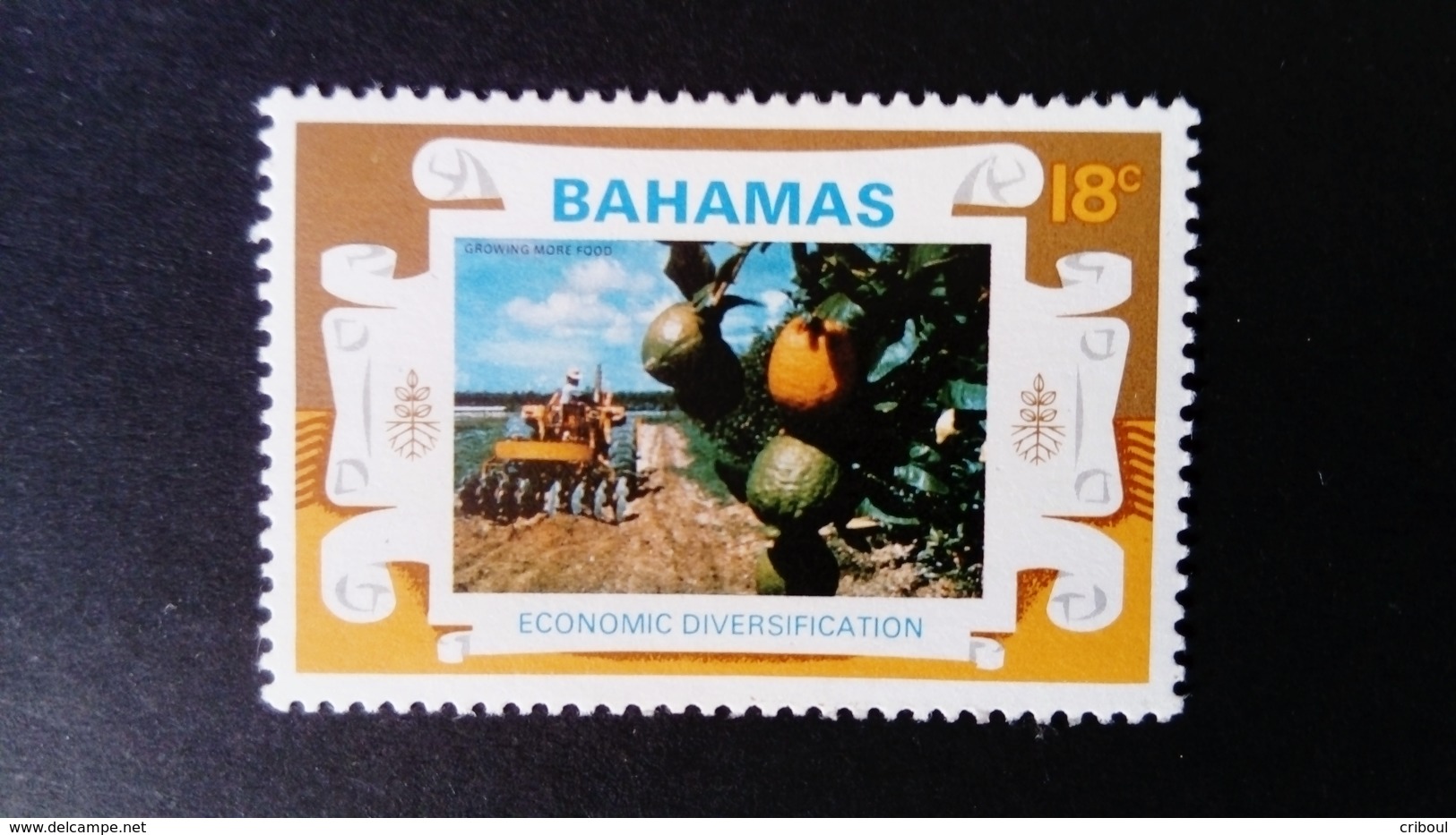 Bahamas 1975 Agriculture Fruit Yvert 364 ** MNH - Bahamas (1973-...)