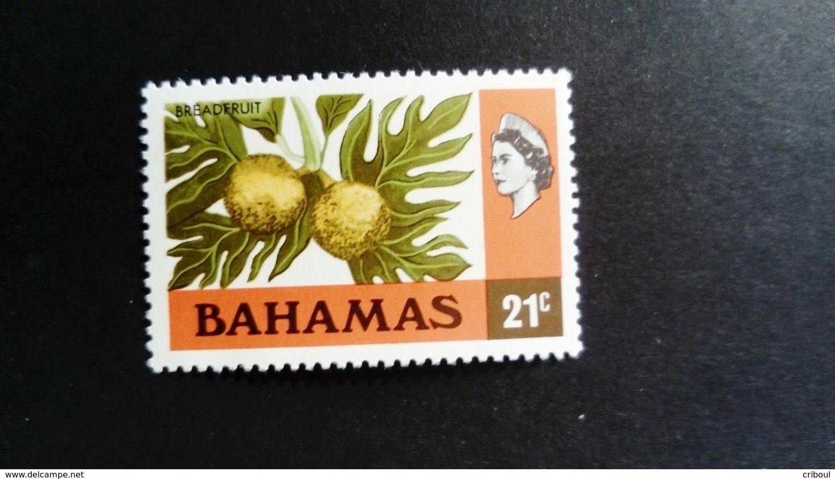 Bahamas 1976 Fruit Yvert 393 ** MNH Filigrane A D'Antigua - Bahamas (1973-...)