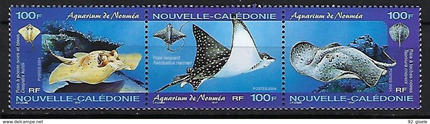 Nle-Caledonie YT 914 à 916 " Aquarium De Nouméa " 2004 Neuf** - Unused Stamps