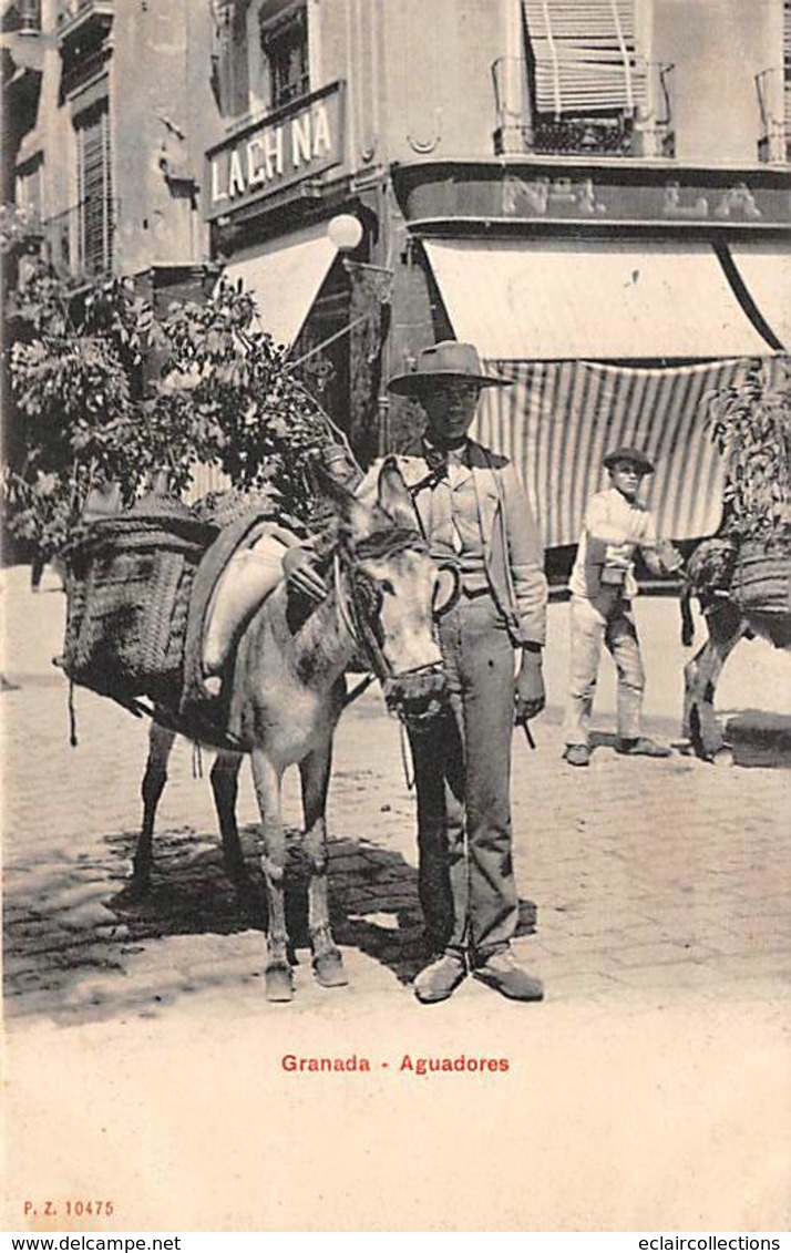 Espagne   Andaloucia:   Granada  Aguadores  . Enfant Et Son âne  (voir Scan) - Granada