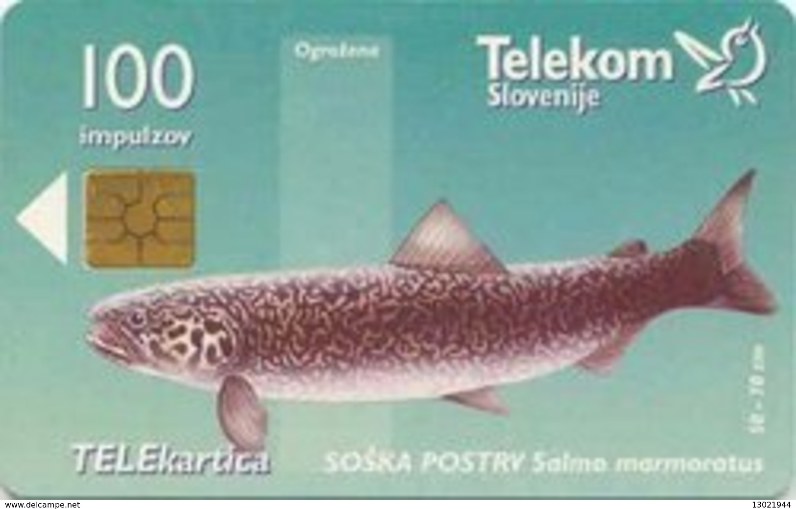 SLOVENIA SCHEDA TELEFONICA   Soška Postrv / Sotočje Tolminke In Zadlaščice - FISH - Pesci