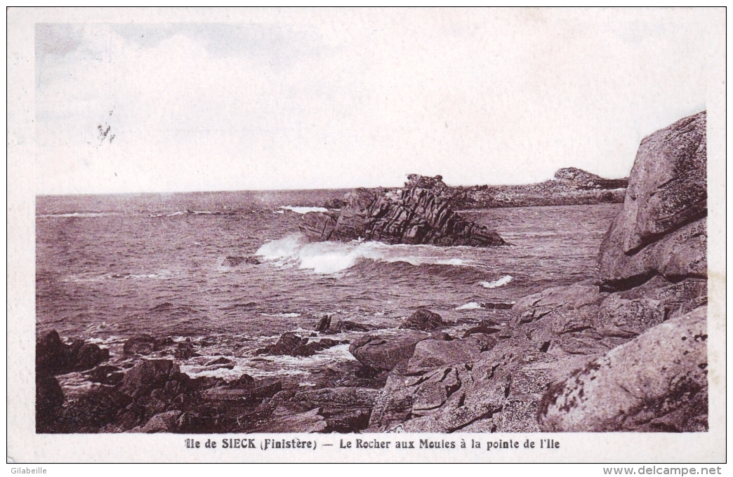 29 - Finistere - ILE De SIECK ( Santec )  -  Le Rocher Aux Moules A La Pointe De L Ile - Autres & Non Classés