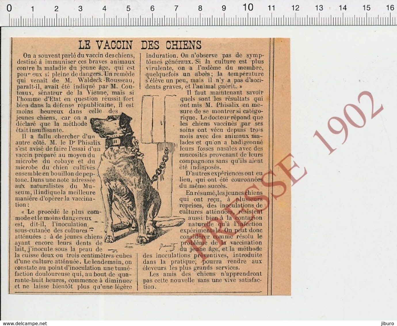 Presse 1902 Le Vaccin Des Chiens Docteur Phisalix Chien Animal  223CHV1 - Ohne Zuordnung