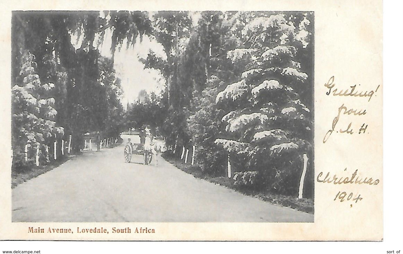 LOVEDALE - MAIN AVENUE  - B155 - South Africa