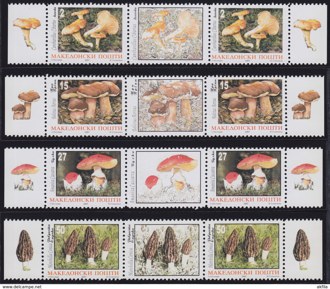 Macedonia 1997 Nature Protection - Mushrooms, Stamp-vignette-stamp, MNH (**) Michel 108-111 - Macédoine Du Nord