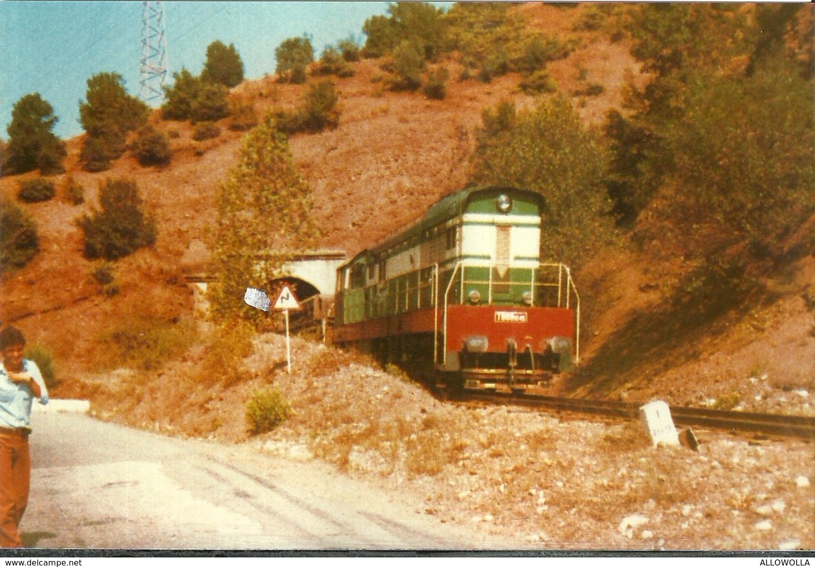 1302 " TRENI - RACCOLTA DI 60 IMMAGINI SU CARTA FOTOGRAFICA "