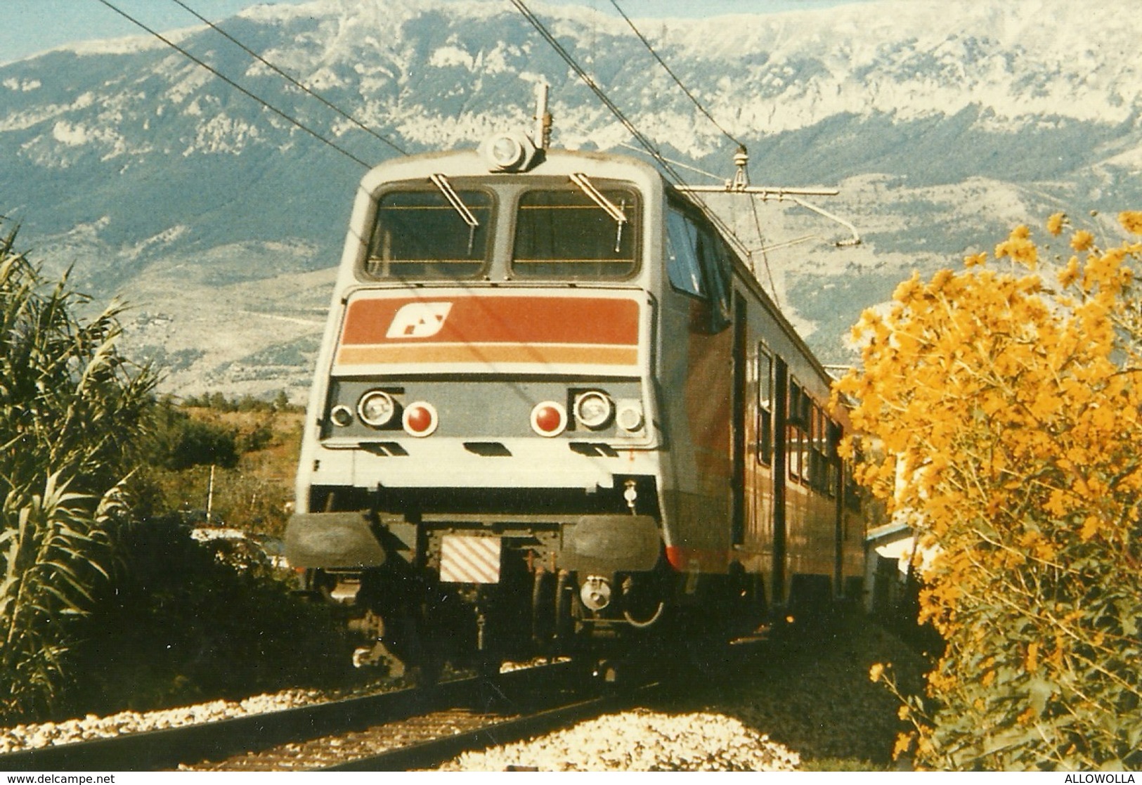 1302 " TRENI - RACCOLTA DI 60 IMMAGINI SU CARTA FOTOGRAFICA "