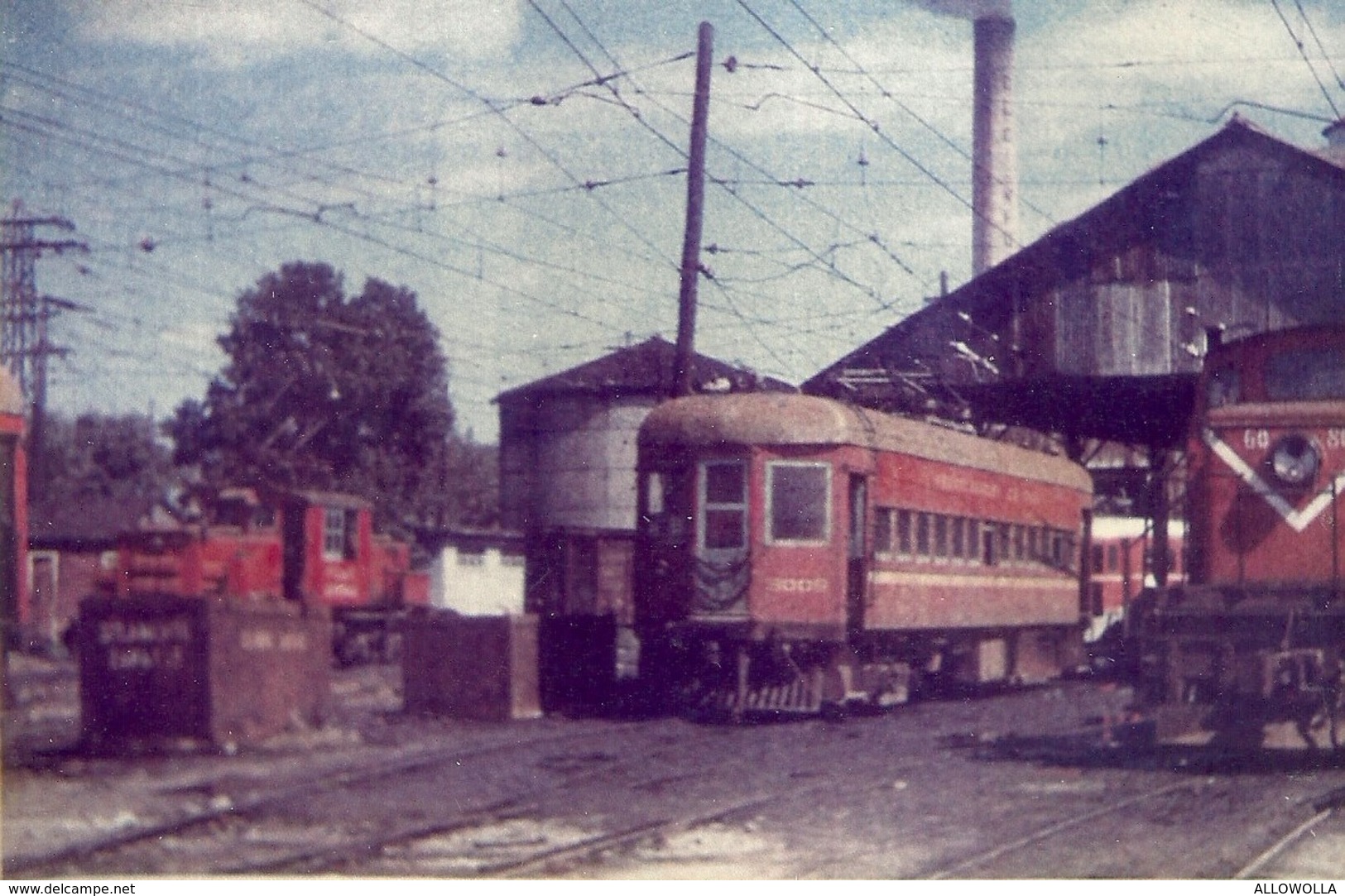 1302 " TRENI - RACCOLTA DI 60 IMMAGINI SU CARTA FOTOGRAFICA "