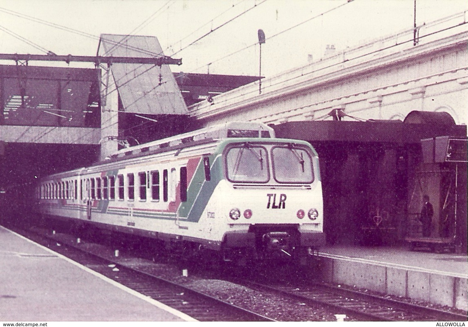 1303 " TRENI - RACCOLTA DI 57 IMMAGINI SU CARTA FOTOGRAFICA "