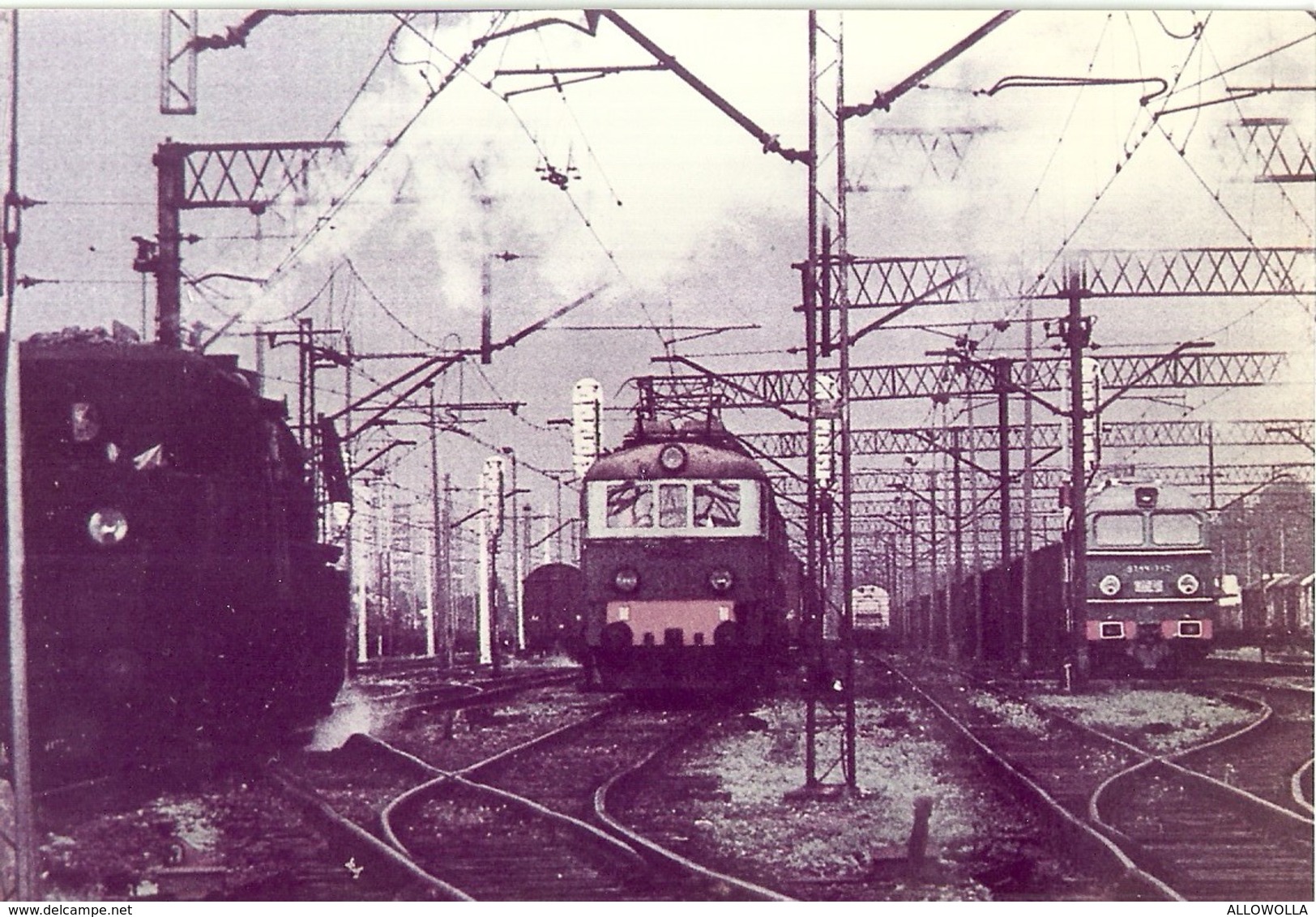 1303 " TRENI - RACCOLTA DI 57 IMMAGINI SU CARTA FOTOGRAFICA "