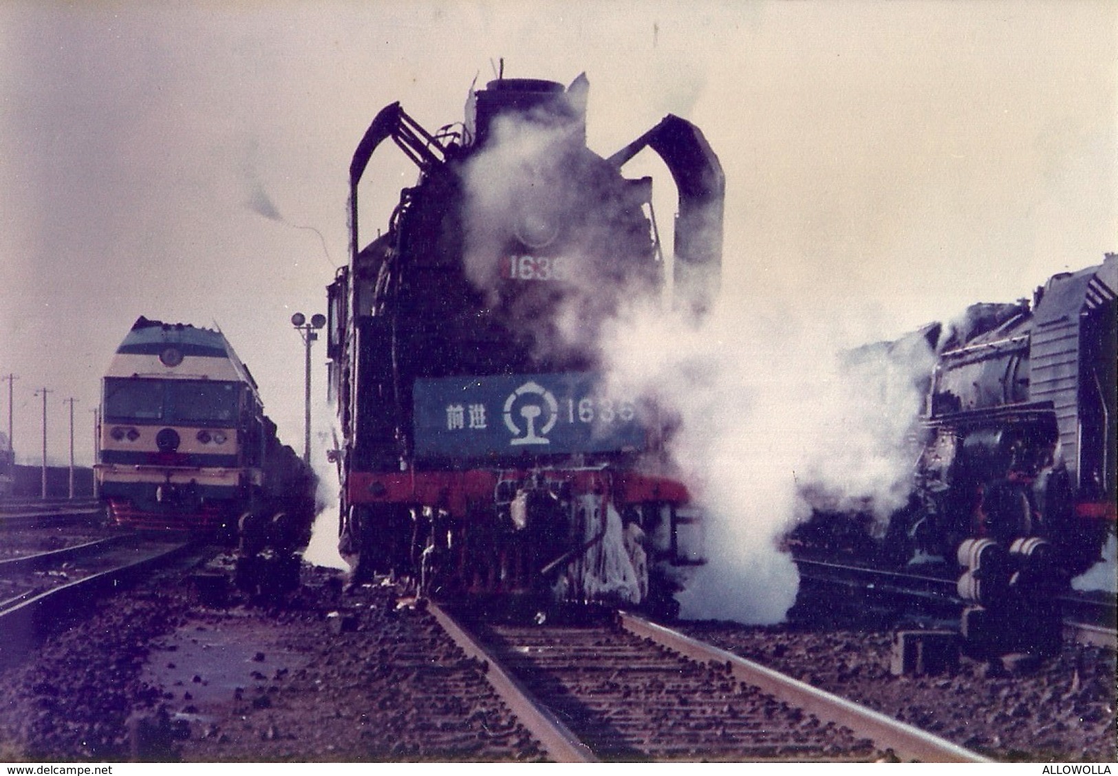 1303 " TRENI - RACCOLTA DI 57 IMMAGINI SU CARTA FOTOGRAFICA "