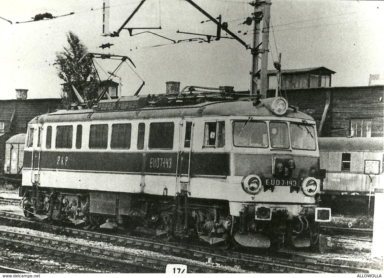 1303 " TRENI - RACCOLTA DI 57 IMMAGINI SU CARTA FOTOGRAFICA "