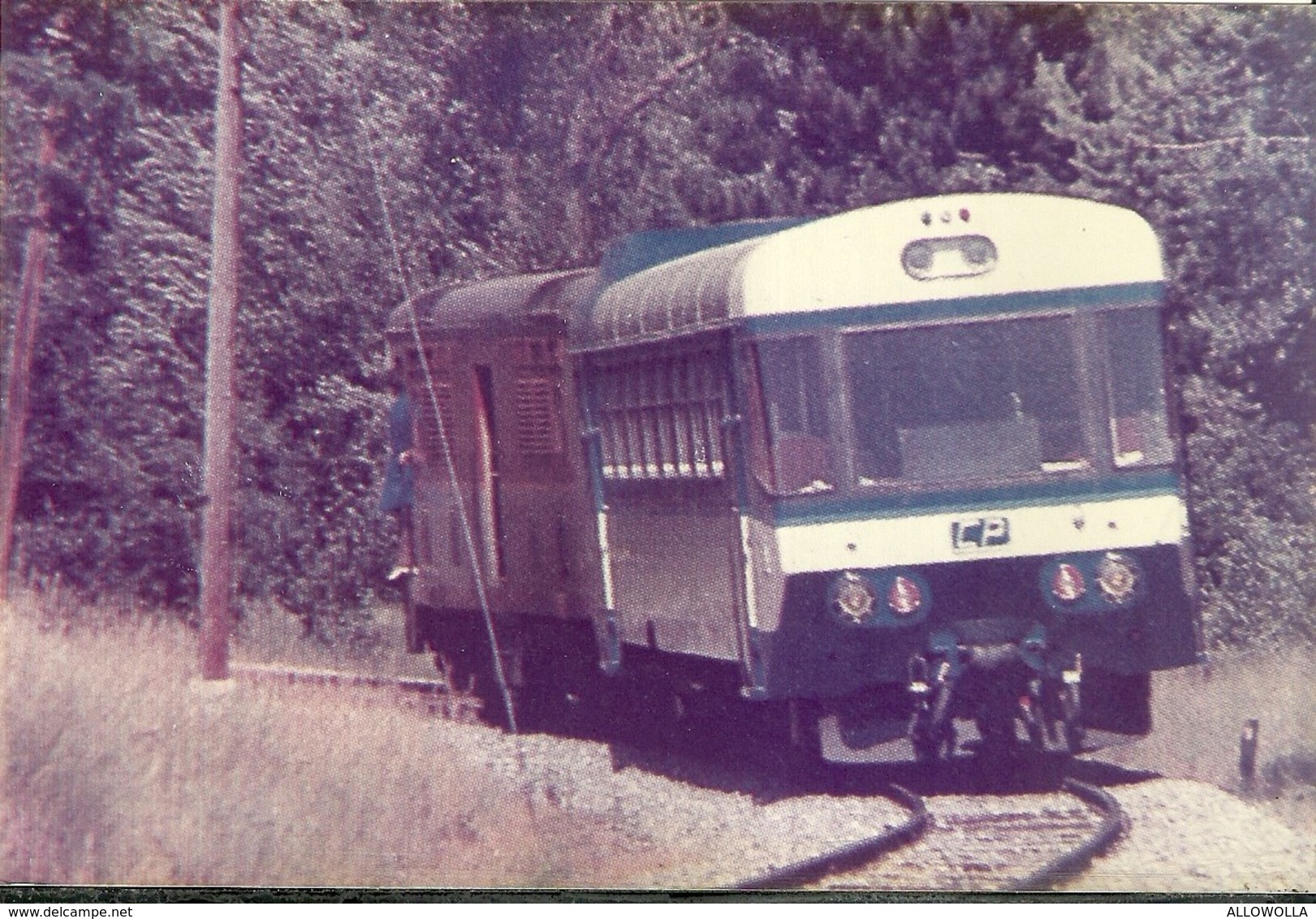 1303 " TRENI - RACCOLTA DI 57 IMMAGINI SU CARTA FOTOGRAFICA "