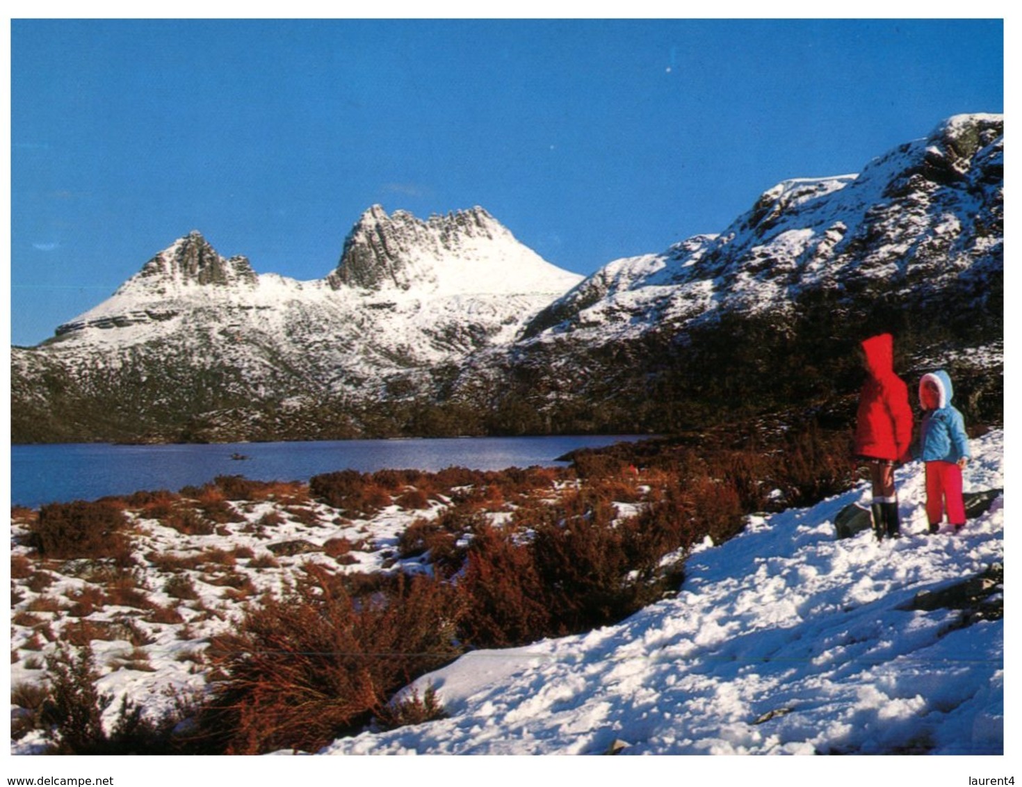 (410) Australia - TAS - Lake Dove In Winter - Wilderness