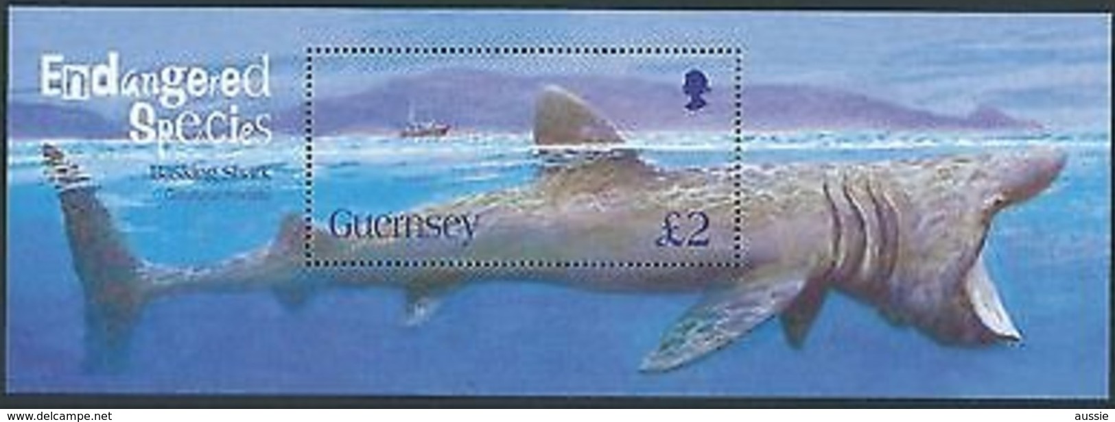 Guernsey Guernesey 2005 Yvert Bloc 57 *** MNH Cote 10 Euro Faune Basking Shark - Guernesey