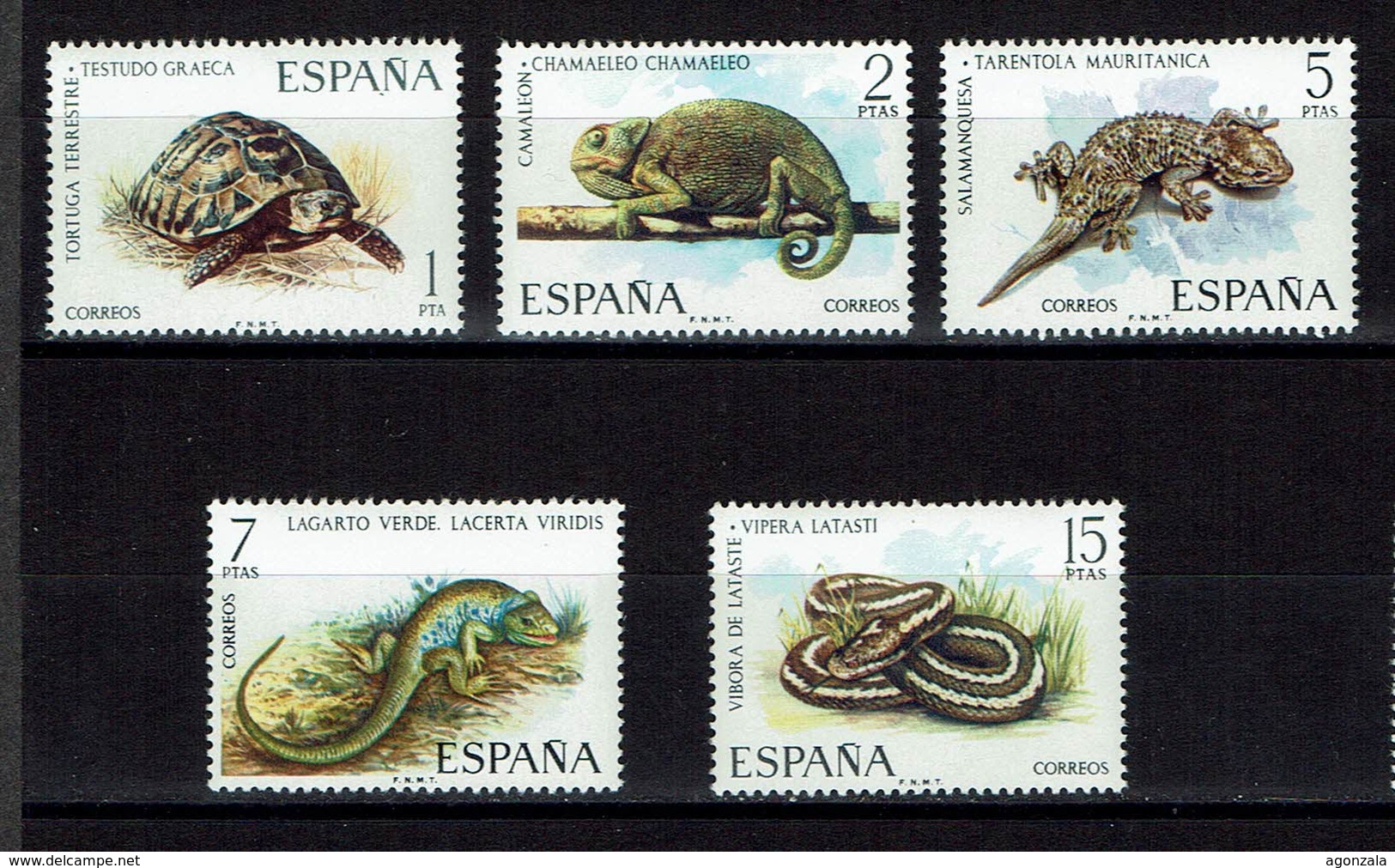 SERIE 5 TIMBRES ESPAGNE 1974 MNH - REPTILES AMPHIBIEUX - Autres & Non Classés