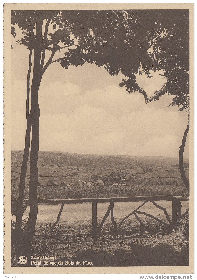 Belgique - Saint-Hubert - Point De Vue Du Bois De Fays - Saint-Hubert