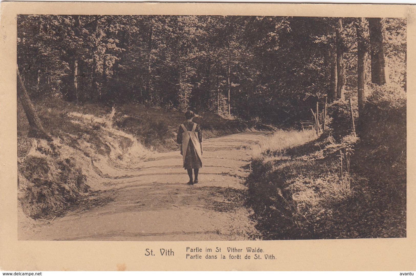 SANKT VITH / SAINT VITH / ROUTE DANS LA FORET  1934 - Saint-Vith - Sankt Vith