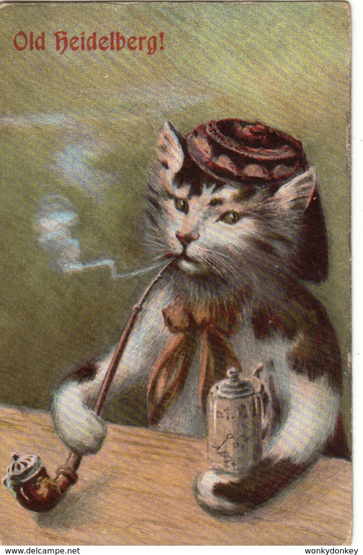 Cats -   Smoking Cat,   Old Heidelberg. - Katten