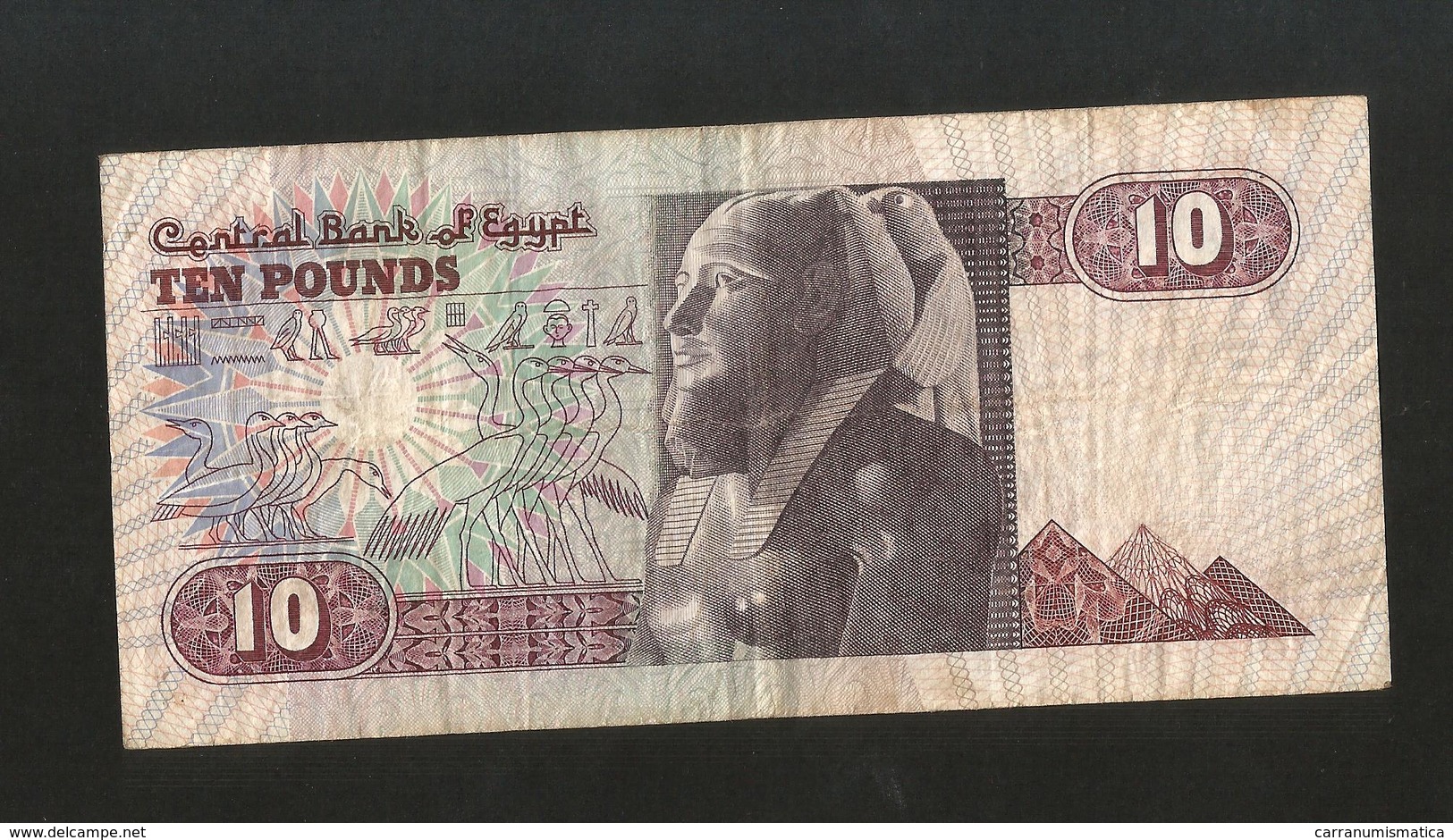 EGYPT - CENTRAL BANK Of EGYPT - 10 POUNDS ( 1996 ) - Egitto