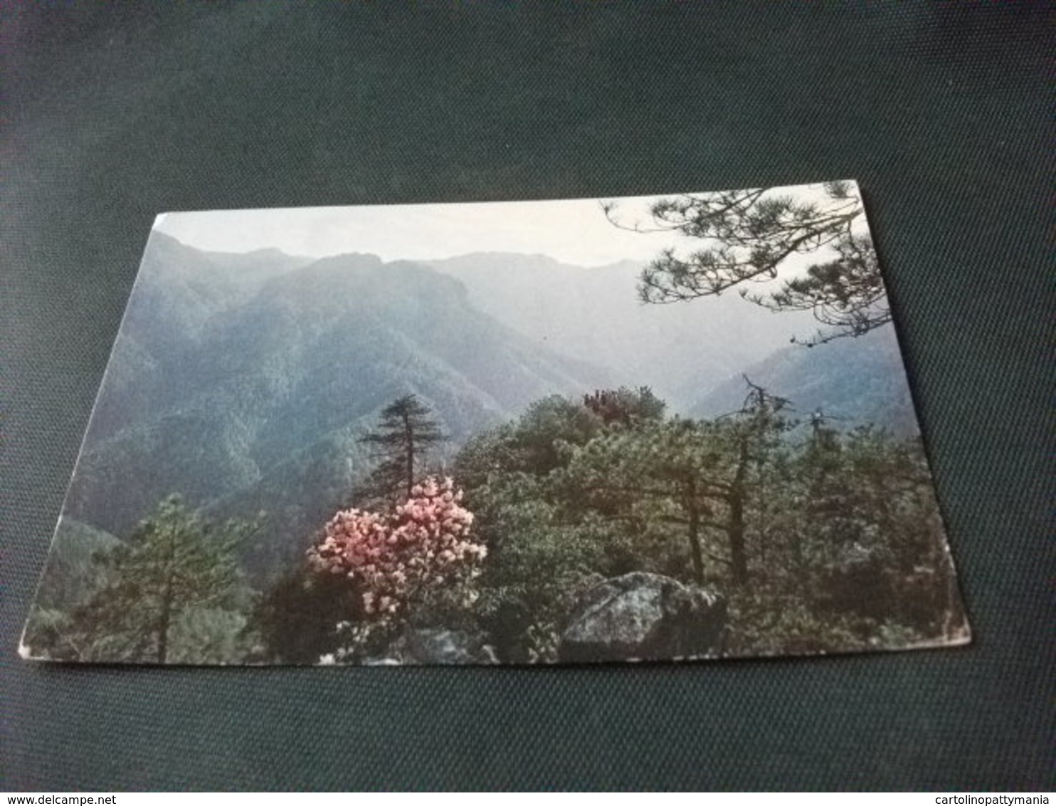 STORIA POSTALE  FRANCOBOLLO  CINA CHINA VEDUTA PANORAMICA MONTAGNE CON FIORI - Cina