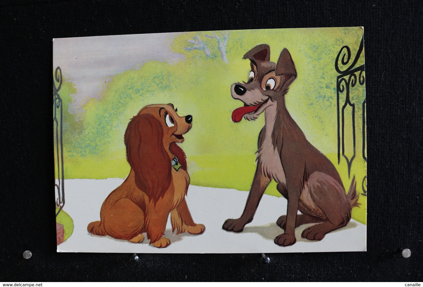 T-D, N°12 / Carte Postal Humoristique-Walt Disney Productions  - La Belle Et Le Clochard  - Lady Et Clochard - Autres & Non Classés