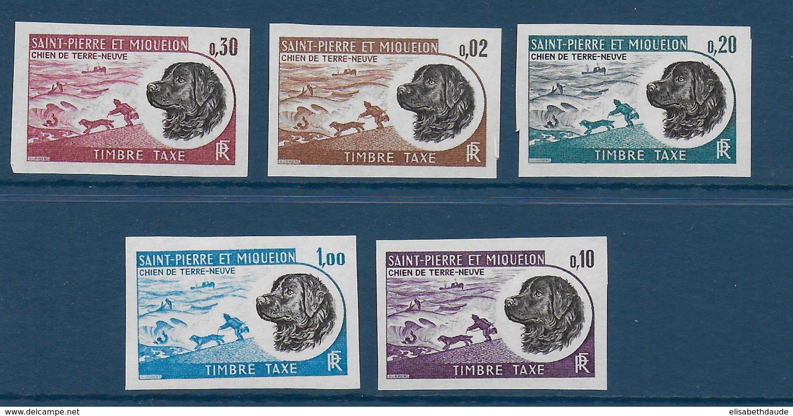 SPM - TAXE YVERT N° 77/81 NON DENTELES ** / MNH - CHIENS - Neufs