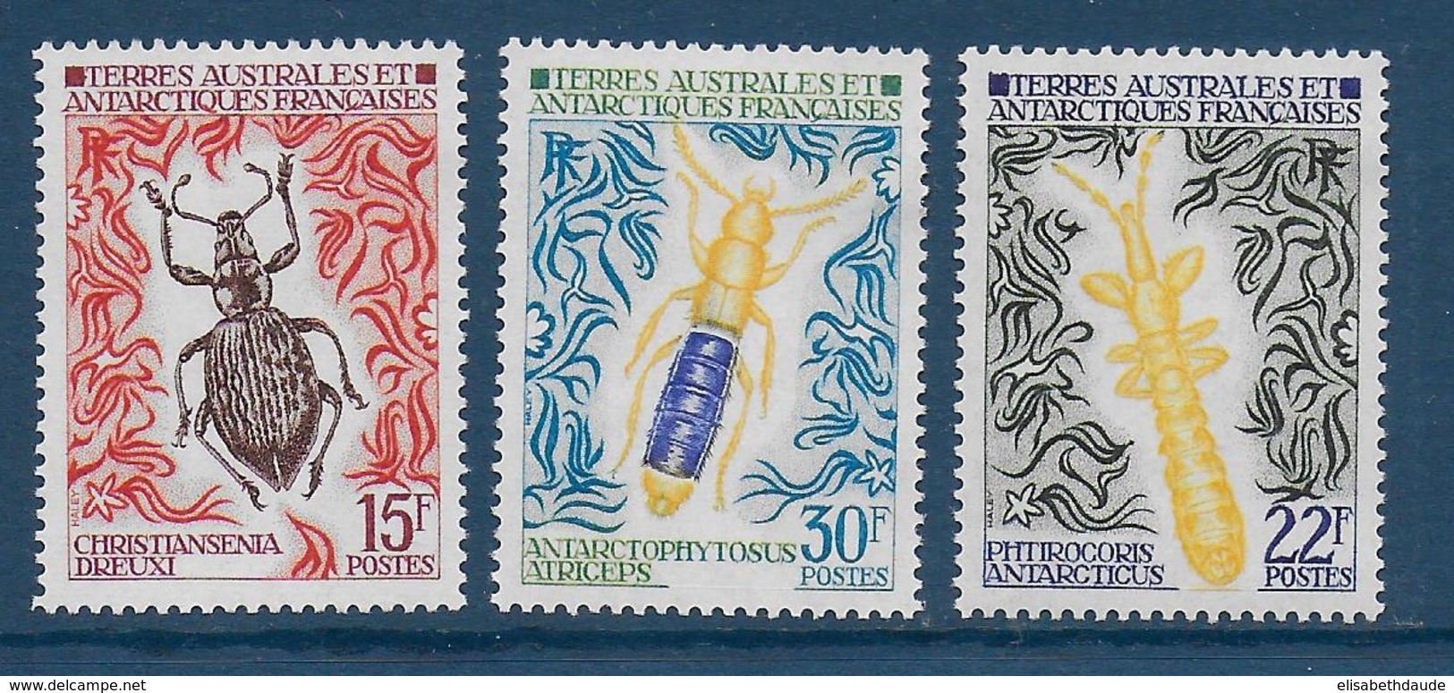 TAAF - YVERT N° 49/51 ** / MNH - INSECTES - COTE = 69 EUR. - Neufs