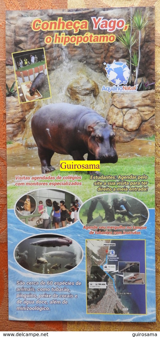 Visite O Aquario De Natal : Hippopotame, Requins Et Pingouins - 2015 - Reiseprospekte