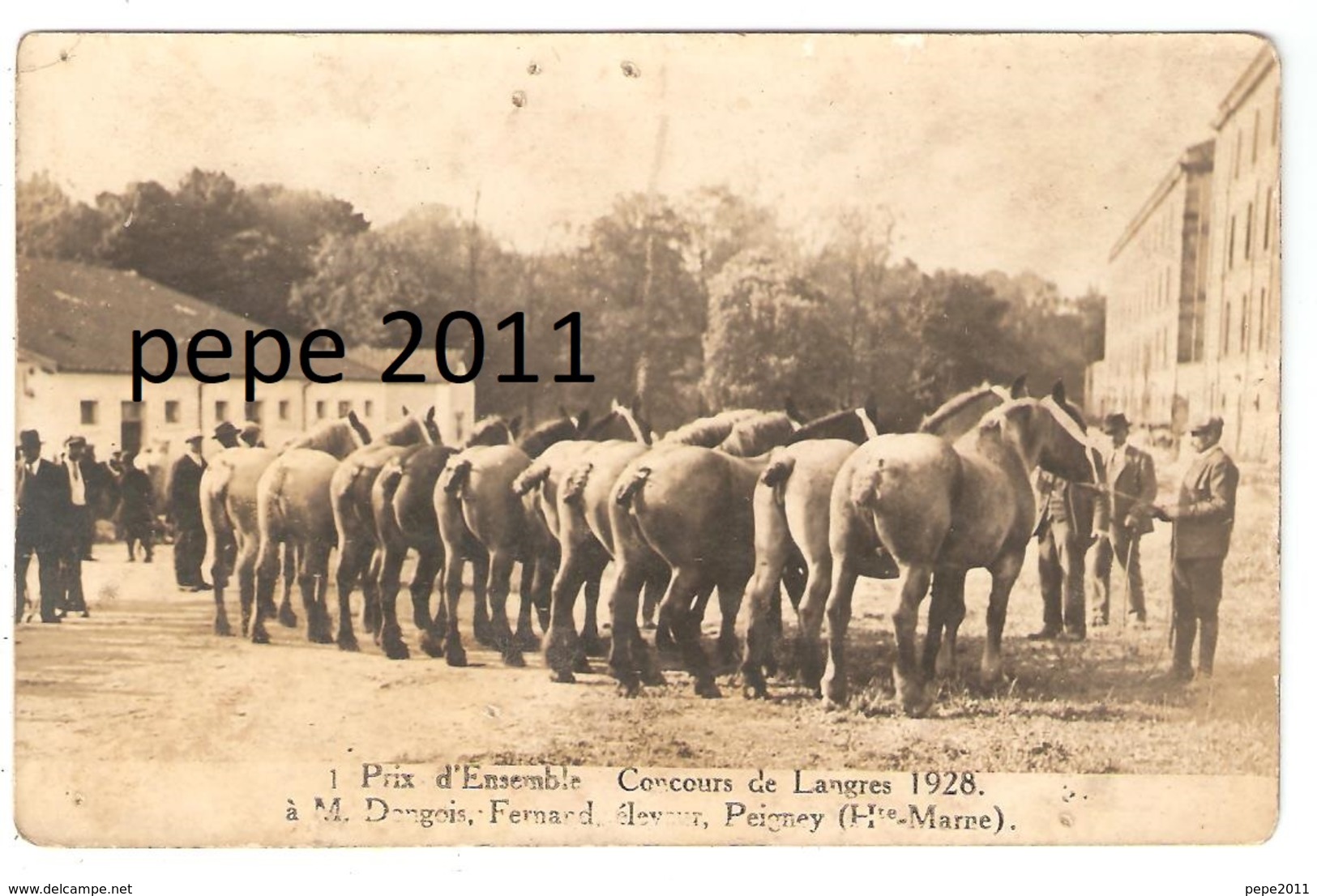 Carte Photo Originale 52 PEIGNEY Concours Chevaux De LANGRES 1928  M. Dongois - Photo CHAMBRY à Rouen - Autres & Non Classés