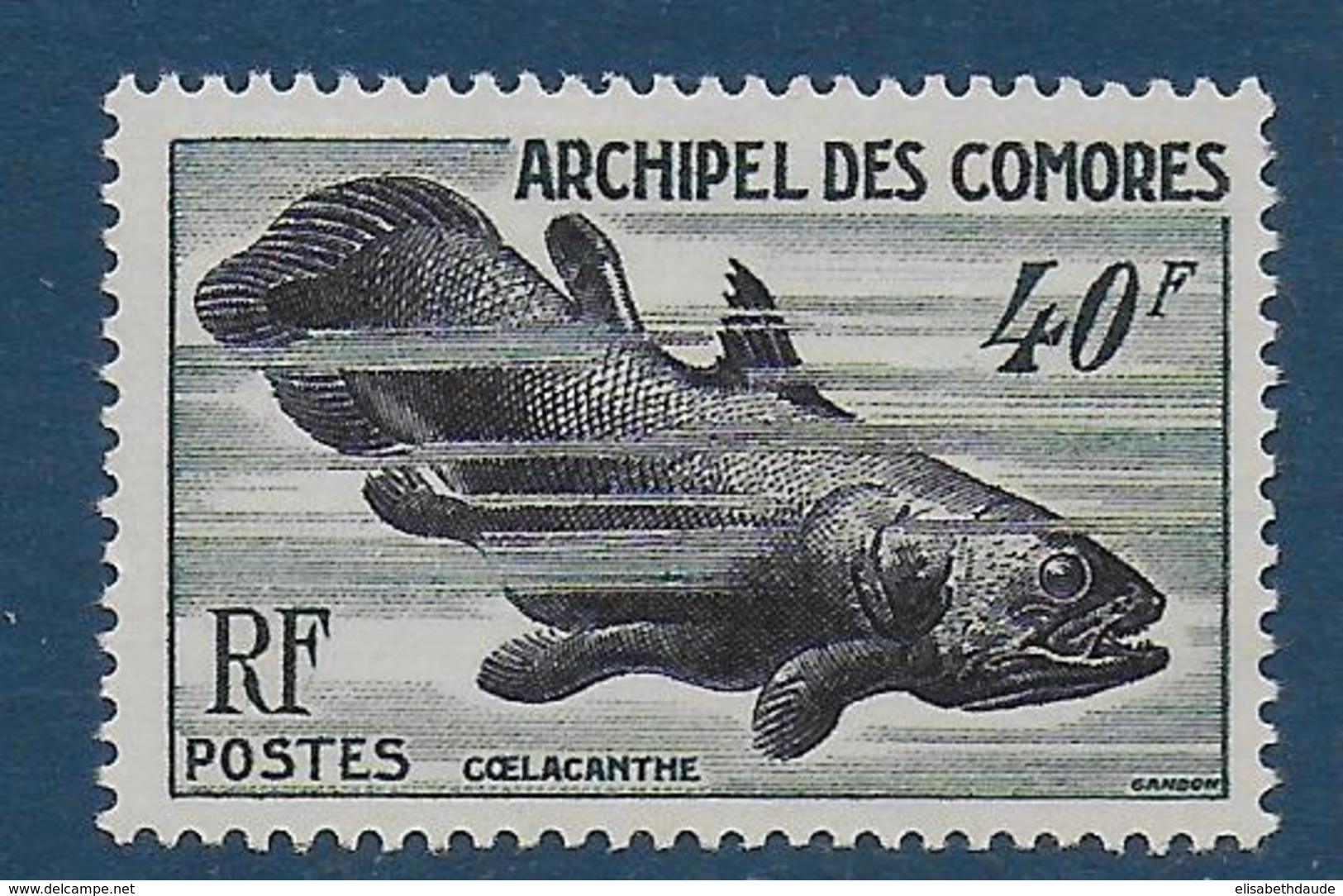 COMORES - YVERT N° 13 ** / MNH - POISSONS - COTE = 36 EUR. - Unused Stamps