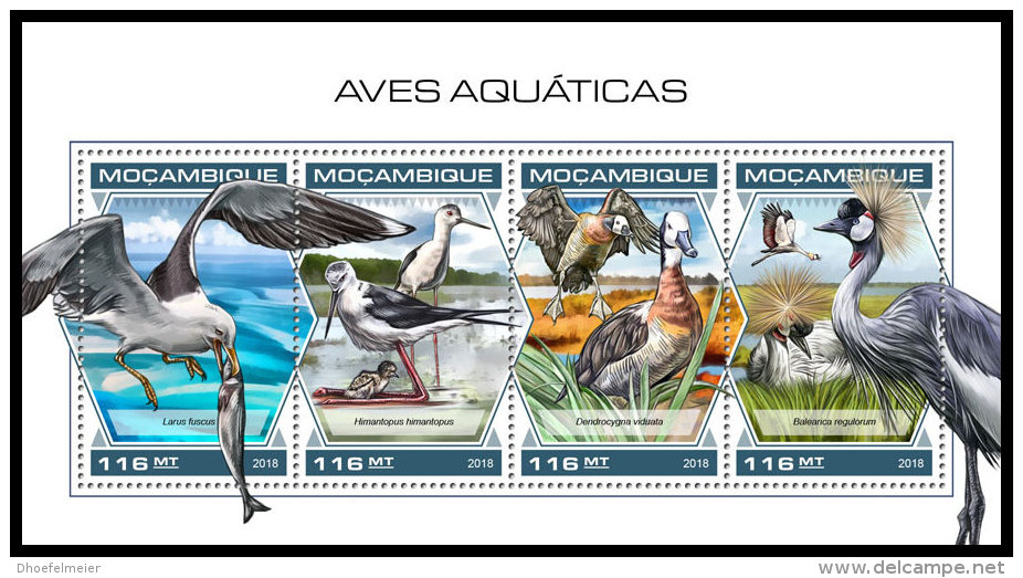 MOZAMBIQUE 2018 MNH** Water Birds Wasservögel Oiseaux Aquatiques M/S - OFFICIAL ISSUE - DH1838 - Altri & Non Classificati