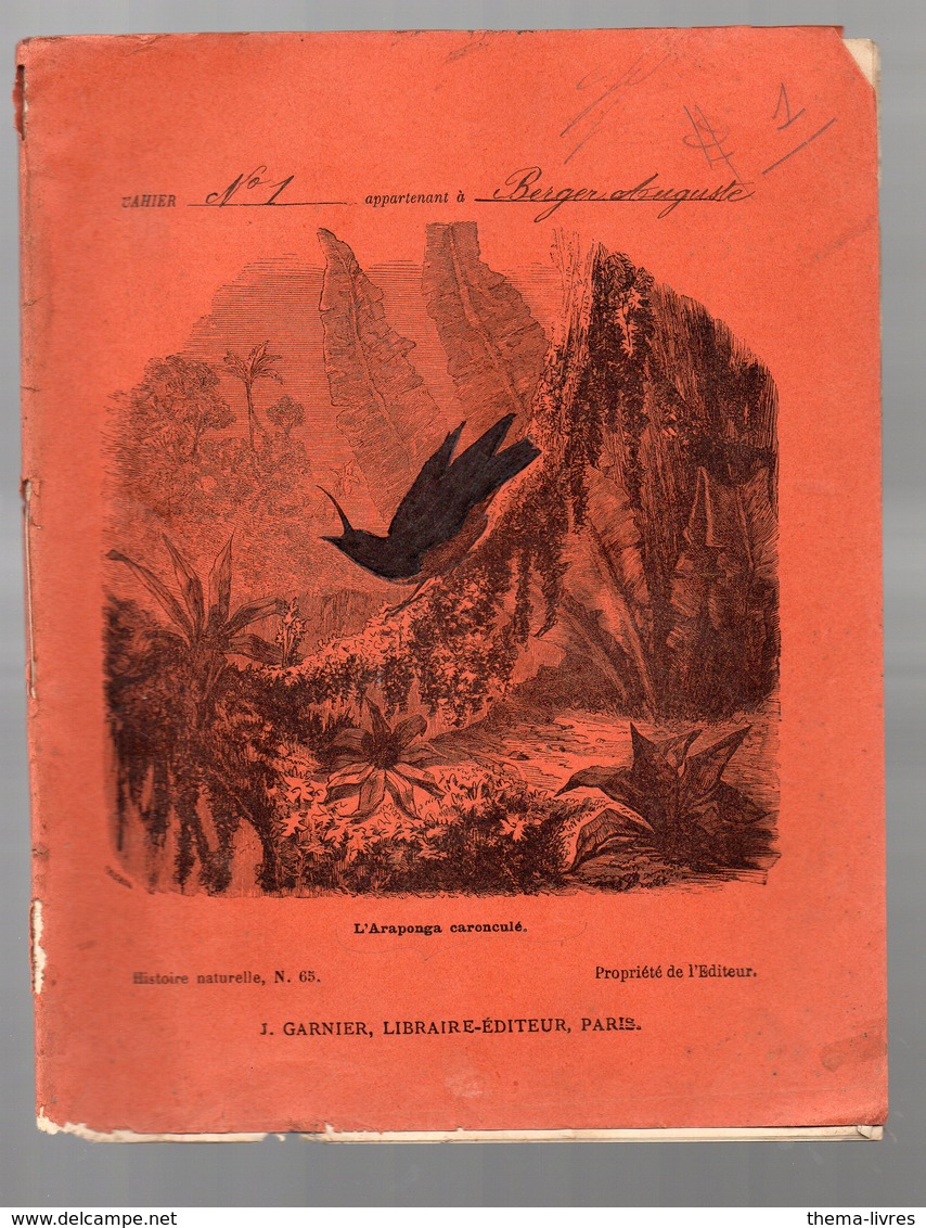 Cahier D'écolier Avec Couverture Illustrée : Histoire Naturelle N°65 : L'araponga Caronculé  (PPP9430) - Animali