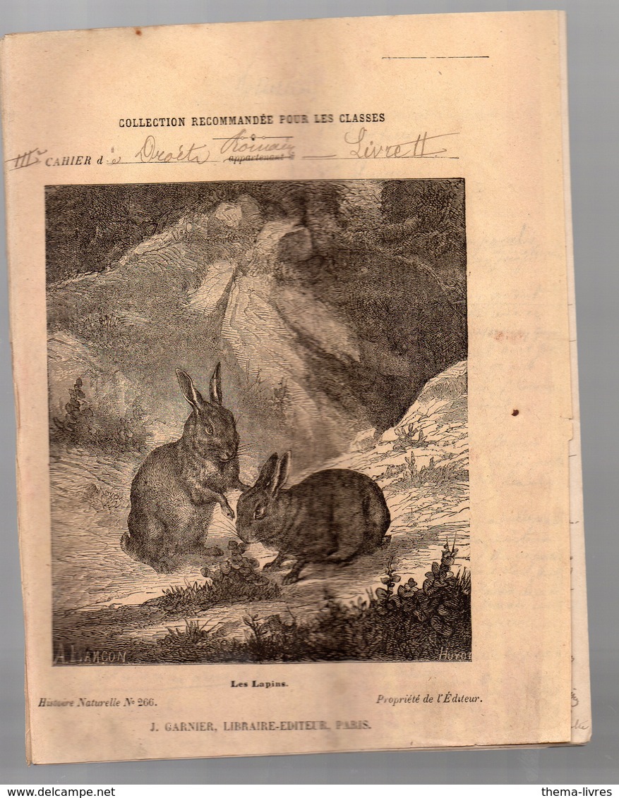 Cahier D'écolier Avec Couverture Illustrée : Histoire Naturelle N°266 Les Lapins (PPP9432) - Tiere