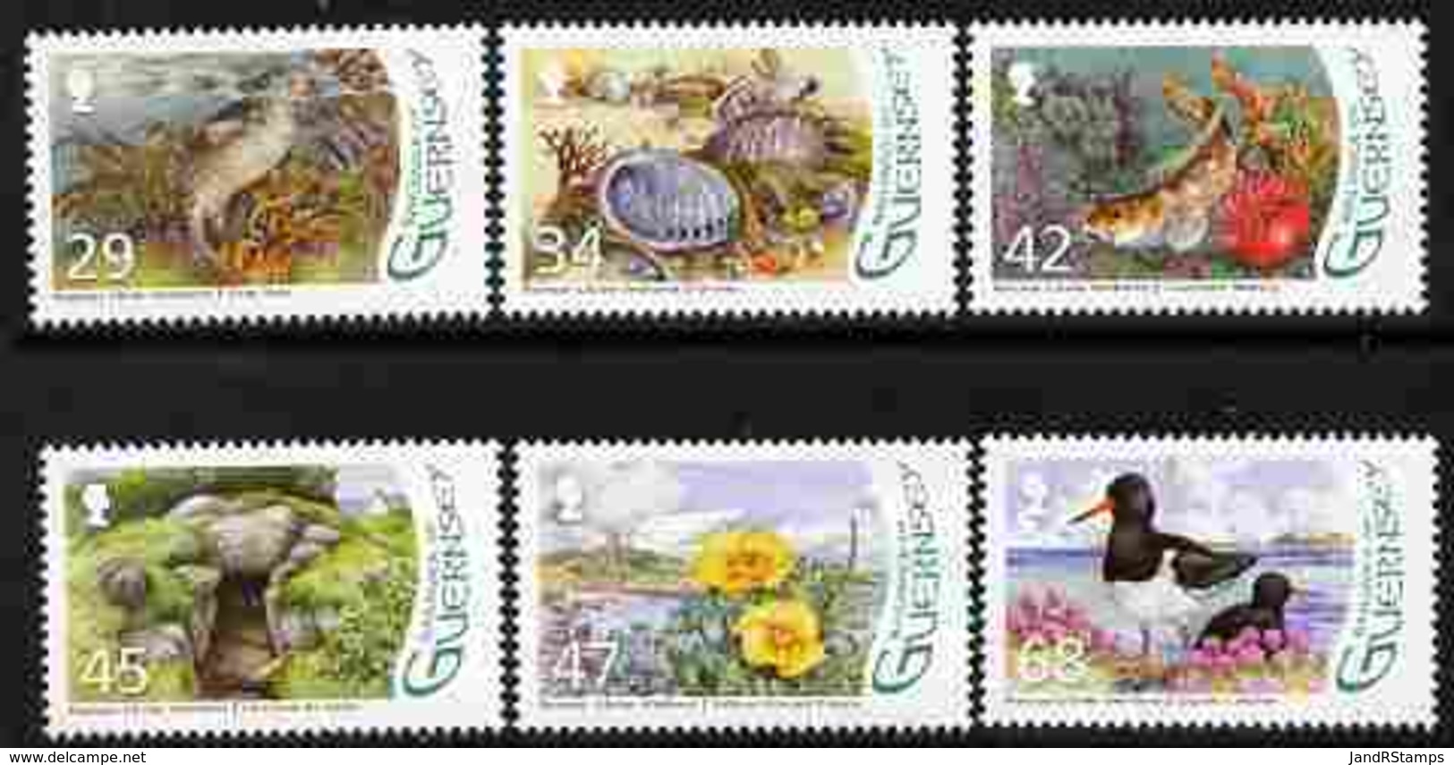 Guernsey 2006 Designation Of L'Eree Wetland As Ramsar Site BIRDS SEALS MARINE LIFE SHELLS FISH FLOWERS Perf Set Of 6 U/m - Guernsey