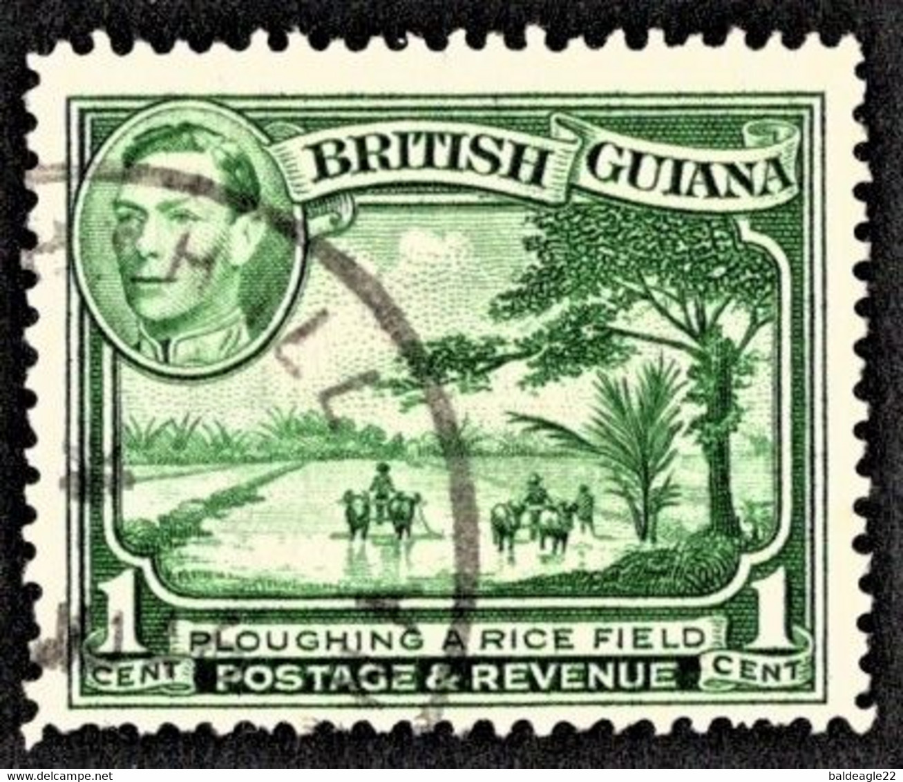 British Guiana - Scott #230 Used (1) - Guyane Britannique (...-1966)